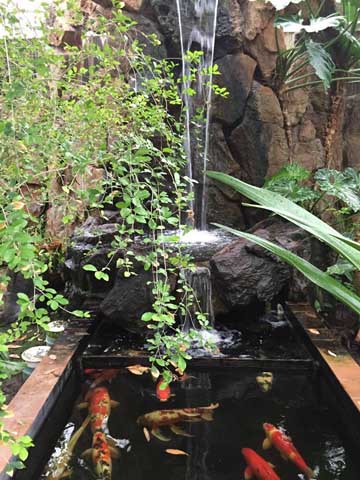 Beaumont Botanical Gardens 
